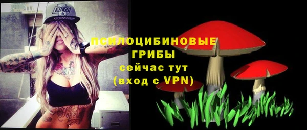 мескалин Богородицк