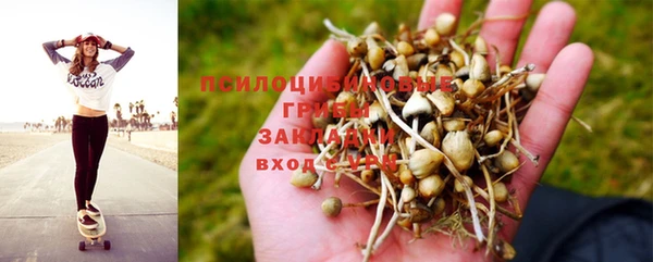 кокаин колумбия Богданович