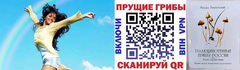 Псилоцибиновые грибы Psilocybe  купить наркотик  Новоузенск 